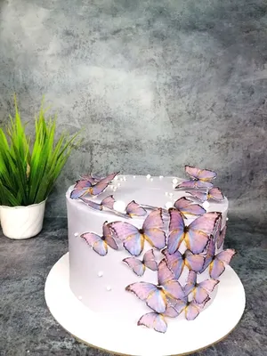 Бабочки на торте: PNG изображение с отличной четкостью и контрастностью