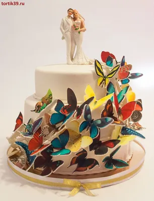 Бабочки на торте: PNG изображение с яркими красками и отчетливыми деталями