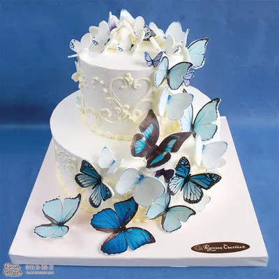Торт в форме бабочки: фото или картинка?