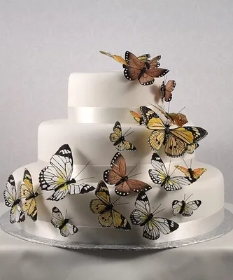 Удивительное фото торта в форме бабочки со всеми деталями