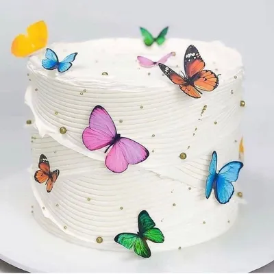 Торт в форме бабочки на фотографии, выберите размер