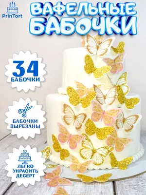 Торт в форме бабочки фотографии