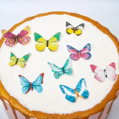 Превосходное изображение торта с бабочкой на выбор