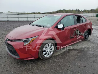 Фотографии Toyota Corolla 2023 с новым двигателем