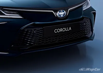 Фото Toyota Corolla Hatchback 2023 на природе