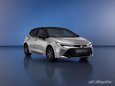 Toyota Corolla Hatchback 2023: фотографии и изображения