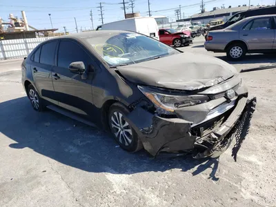 Фото Toyota Corolla Hatchback 2023 с различными цветами салона