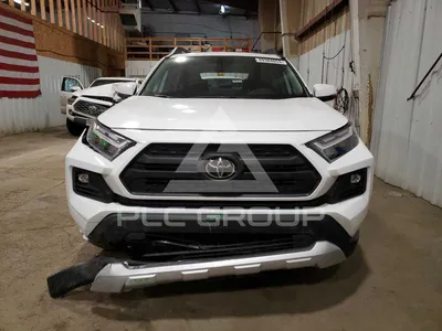 Изображения Toyota RAV4 2023 с различными опциями двигателя