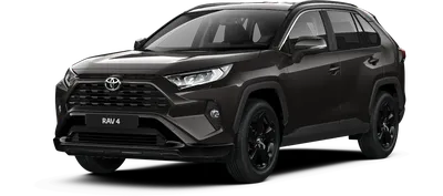 Toyota RAV4 2023 на фото со всех сторон