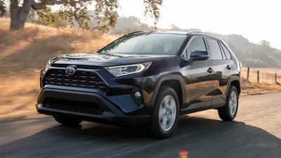 Toyota RAV4 Hybrid 2023: фотография в парке