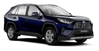 Toyota RAV4 Hybrid 2023: фотография на горной дороге.