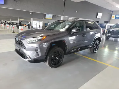 Фото Toyota RAV4 Prime 2023 на заднем фоне природы