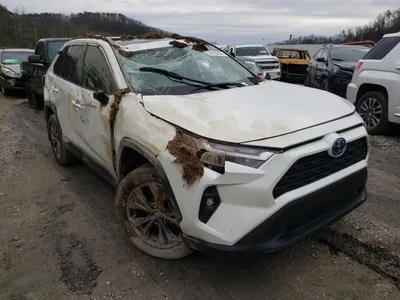 Изображение Toyota RAV4 Prime 2023 в формате JPG