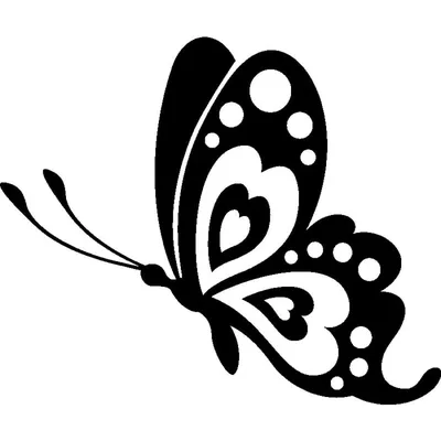 Фото бабочки с трафаретом в формате WebP