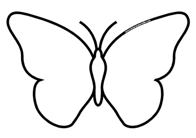 Картинка трафарета бабочки