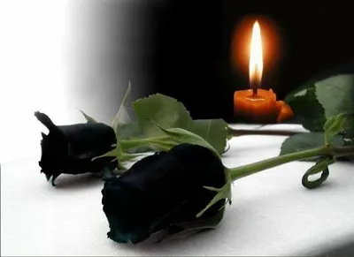 Фотография траурных роз: выберите желаемый формат изображения