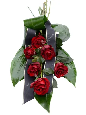 Фотография траурных роз: выберите желаемый формат изображения