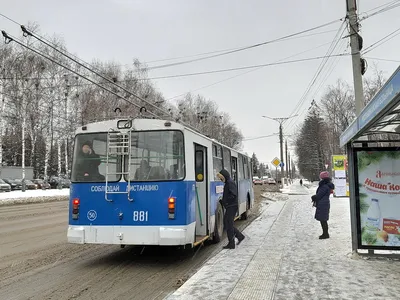 Красочные фотографии Трэвиса Байбла для скачивания