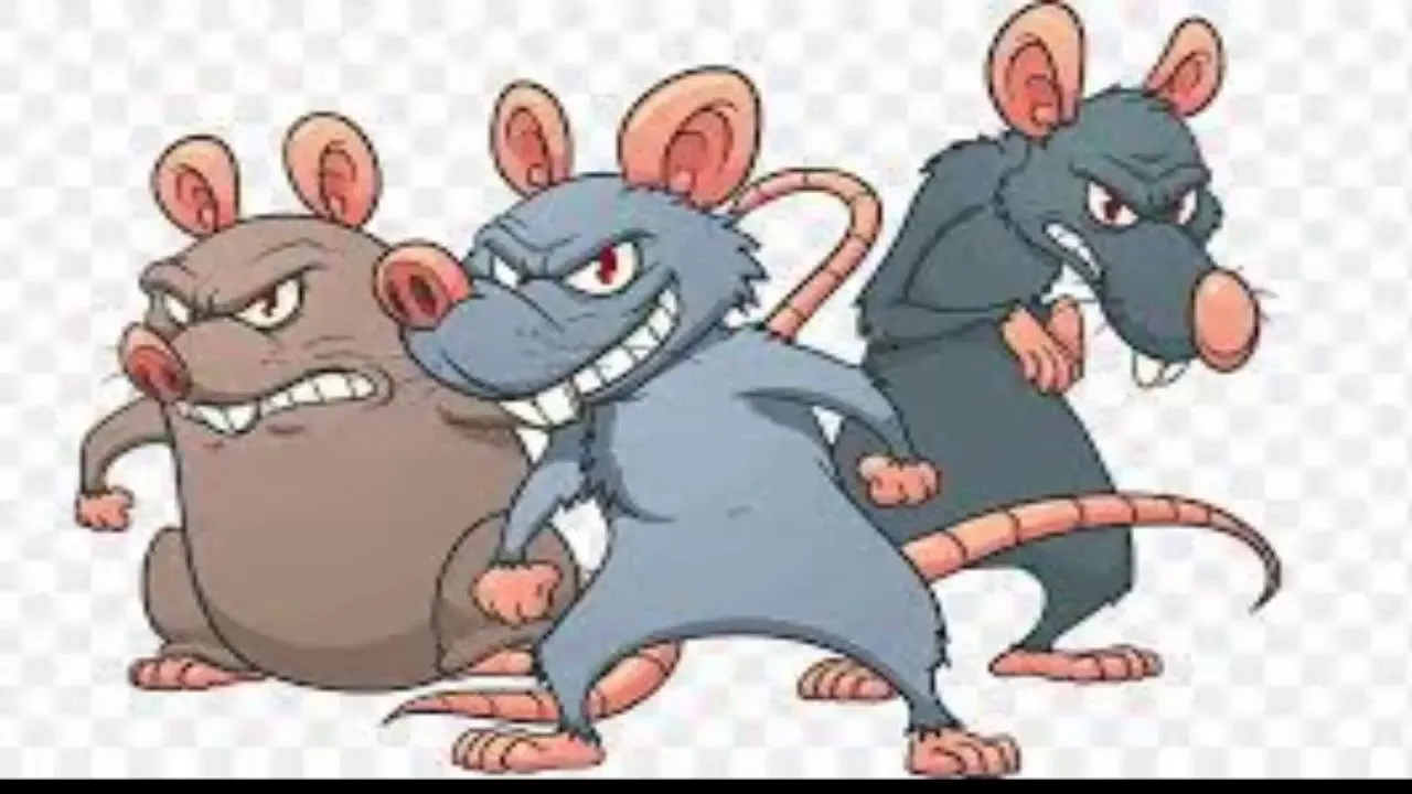 Ведьмак 3 крысы