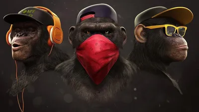 Новые изображения обезьян в Full HD и 4K: бесплатно скачивай сейчас!