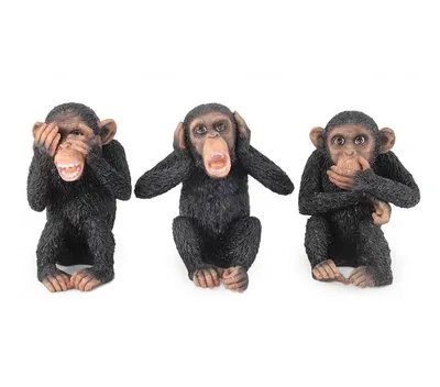 Взгляды, полные выражения: Увлекательные портреты Трех обезьян