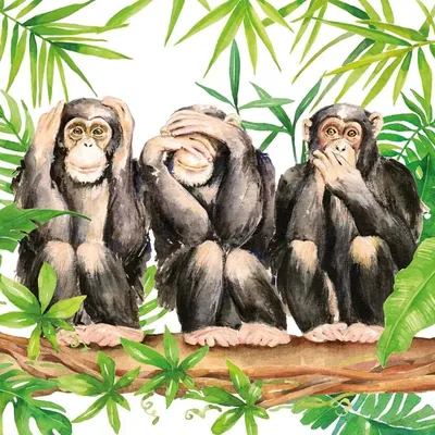 Веселые попытки: Три обезьяны в необычных ситуациях на фото