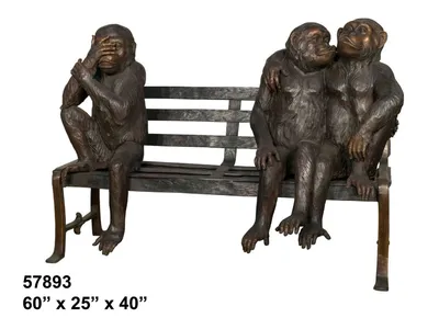 Обои на рабочий стол с обезьянами 2024