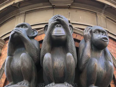 Три обезьяны фотографии