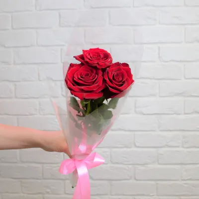 Фото трех прекрасных роз в разных размерах jpg