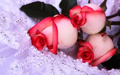 Очаровательная картинка трех роз в формате png