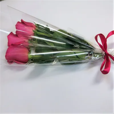 Фотография трех красивых роз в разных размерах jpg