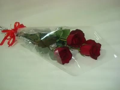 Красивая фотография трех роз доступная для загрузки webp
