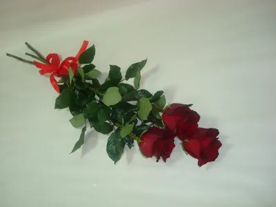 Завораживающая картинка трех роз в формате png