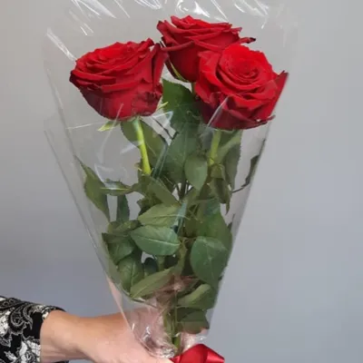 Фото трех очаровательных роз доступное для скачивания webp