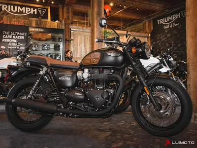 Увлекательная картина Triumph Bonneville T120 для ценителей красоты