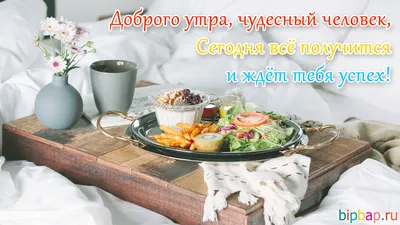 Фотографии, чтобы поднять настроение утром