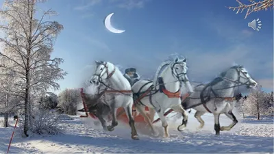 Лошади в зимнем ландшафте