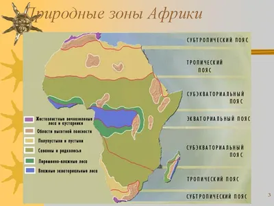 Фотографии тропических пустынь в разных разрешениях