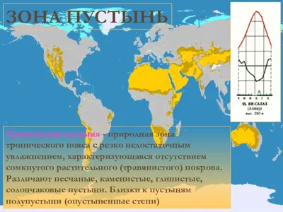 Исследуйте красоту тропической пустыни через фотографии