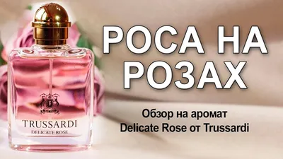 Труссарди деликатная роза для скачивания в webp