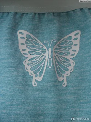 Изображение бабочки, подчеркивающее ее уникальность