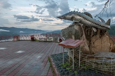 Фото Царя рыбы: близко и ясно