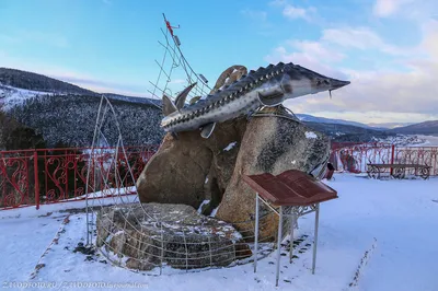 Царь рыба на фотографиях: сохраните его в наиболее подходящем формате