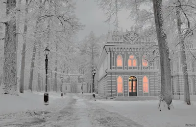 Зимняя красота Царицыно в фотографиях: JPG, PNG, WebP на выбор