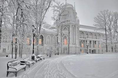 Фотографии Царицыно зимой: выберите формат - JPG, PNG, WebP