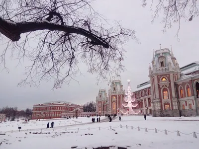 Прекрасные моменты зимнего Царицыно: загрузите изображение по размеру