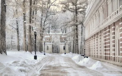 Великолепие зимнего Царицыно: фотографии в JPG, PNG, WebP