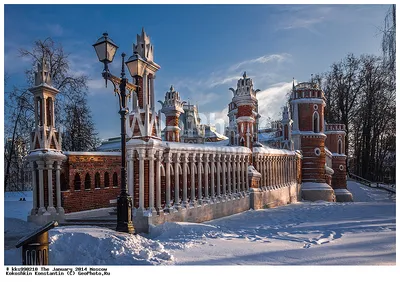Фотоальбом Царицыно зимой: загрузите изображение в формате на ваш выбор
