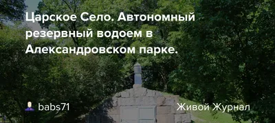 Скачать арт с Царским деревом бесплатно