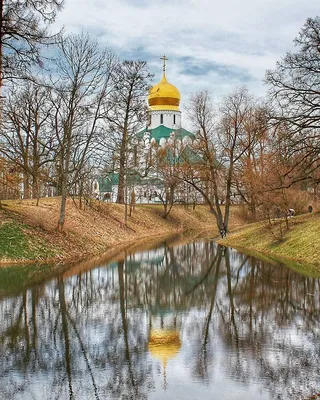 Арт-фото Царского дерева в стиле эпохи